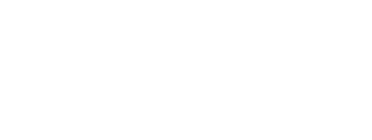 fliseguruen logo